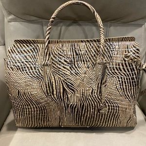 Brahmin Finley in Spirit Melbourne